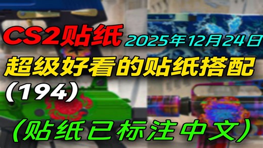 【CS2贴纸搭配194】所有贴纸已标注！12月19日火遍CS2全网的热门贴纸搭配~