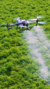857 reactions · 25 shares |  Can’t resist the beat! See how to vibe with DJI T50’s spray in style.  #djiagriculture #dronespraying #catapproved #djit50 | DJI Agriculture | Facebook