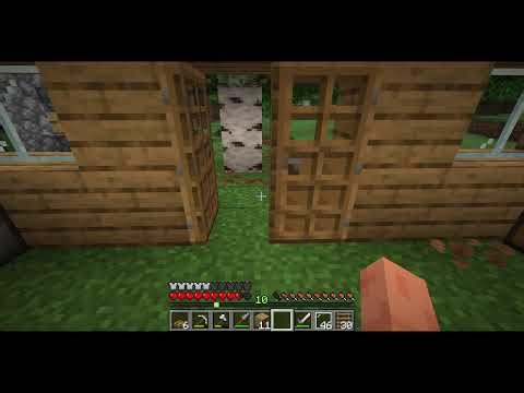 minecraft smp prox chat