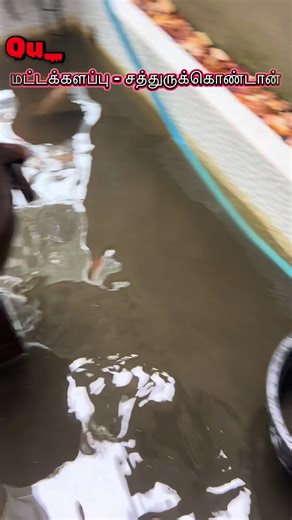 Monthly Marine Aquarium Service in Batticaloa