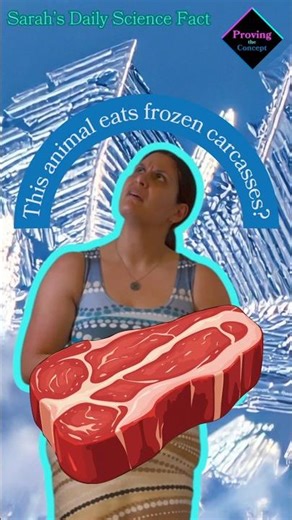 This animal can eat frozen carcasses?