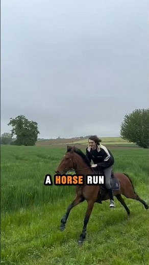 This Machine Can Make Horses Run Faster!