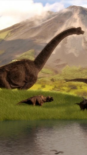 114 reactions | A Black hole is a Time Machine?? . . . . . . #science #sciencefacts #facts #daily #blackholes #fbpro #fbreels #fb #fypシ #fyp #instalike #instadaily #reelsinstagram #reels #viralreels #viral | Galactic Guru | Facebook