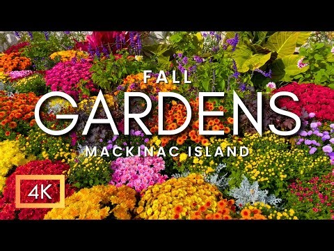 Relaxing Fall Colors & Beautiful Fall Garden Tour On Mackinac Island Autumn | Peaceful Nature Sounds