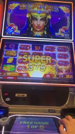 The rare scarabs bonus on max bet #slots #gambling