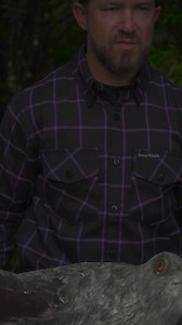 Our Flannels are equipped with hidden collar snaps, where style meets comfort. Check them out now! | Demons Behind Me Inspirational Clothing & Apparel