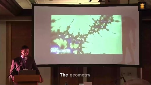 The simple shapes we learned in school simply *do not* describe nature! That Euclidean geometry—the cylinders and spheres—is a kindergarten model compared to the universe's actual blueprint. Prepare to have your mind expanded by **Fractal Geometry**, the powerful mathematics that truly models reality, brought to the forefront by Mandelbrot. Its defining characteristic? An awe-inspiring self-similarity, where patterns repeat across every scale, from the microscopic to the macroscopic. This isn't 