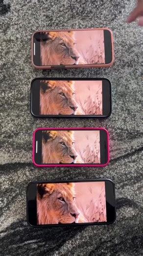 What do you stand for? Get fierce about your health! Feel better, faster with the immune supplement everyone's talking about: ✅ More energy, deeper sleep, fewer colds ✅ Mental clarity and better mood ✅ Glowing skin & reduced inflammation Once you feel the difference for yourself, you'll never want to go without it. Science-backed immune support, powered by Swarm Intelligence. Activate your immune system's secret weapon for daily defense with Vitamin D, Zinc, Quercetin & More! Made in the USA. Tr