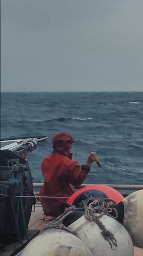 day 16 of 30 DAYS AT SEA #sailing #storm #fishing