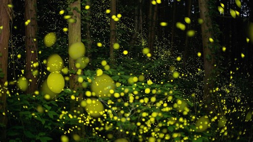 Advanced alien civilizations could be communicating like fireflies in plain sight, researchers suggest