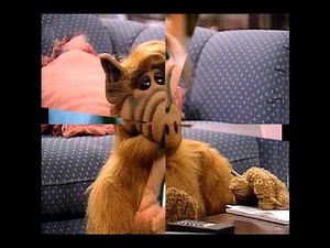 Alf The Alien Series of 1980