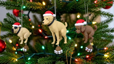 Electronic Measuring Spoon with Conversion, Adjustable Digital Measuring Spoon, Kitchen Food Measuring Scoop Scale, 800g / 0.1g High Precision, with LCD Screen, for Daily Meals and Dog Cat Food (2PCS)