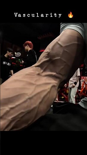 Extreme Forearm Vascularity and Muscle Definition Showcase #shorts