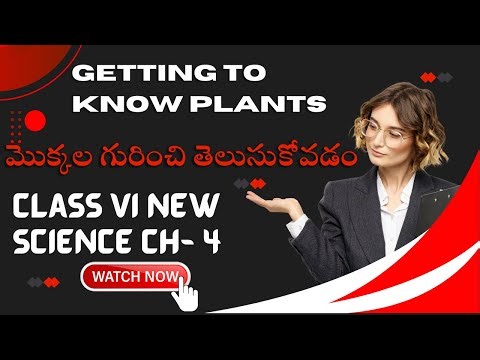 Class 6 New Science 2023 - Chapter-4 - GETTING TO KNOW PLANTS