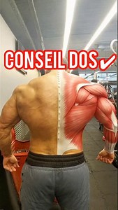 Retrouvez de 350 vidéos techniques sur ma chaîne YouTube "Enzo TV" Bons trainings à tous 👍 🔺️Code -10% sur Prozis : ENZO #biceps #bodybuilding #fitness #musculation #fitnesstips | Enzo Foukra