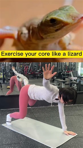 Train Your Core Like a Lizard: Unique Workout for Stability and Strength