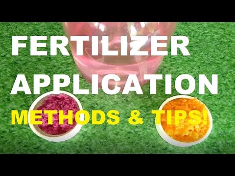 FERTILIZER APPLICATION | GARDENING PHILIPPINES
