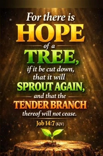 Powerful Bible Verses on Hope, Restoration, Revival New Life Christian Motivation #christianreels