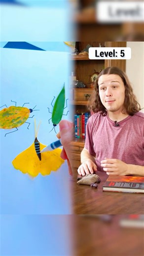 How dnd monks level up