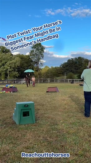 🌂 Plot Twist: Your Horse’s Biggest Fear Might Be in Someone’s Handbag Here’s the thing: Problem-solving BEFORE it happens is literally the whole game. At Whispering Feather Farm, we just wrapped up an AMAZING session with our holistic horse course crew, and let me tell you - we got REAL about spookbusting. Because preparing your horse for the weird, wonderful, and sometimes umbrella-wielding public isn’t just smart… it’s essential. Think about it: • That random parade downtown? Umbrellas. • Rai
