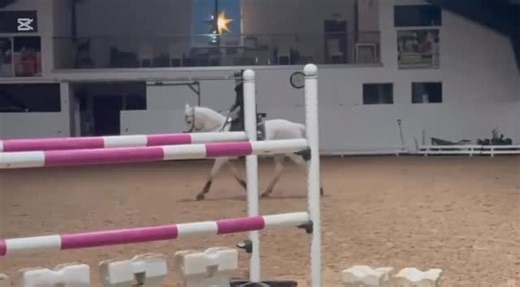 SWEPONNY on Instagram: "Världens gulligaste kille fina Charlie ♥️ D ponny valack 12år för dig som vill ut och tävla!"