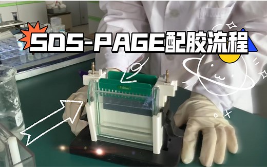 生物化学实验-04-SDS-PAGE配胶操作流程。
