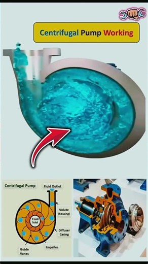 Centrifugal pump working process || 3D animation #pump #centrifugalpump #shots #youtubeshorts