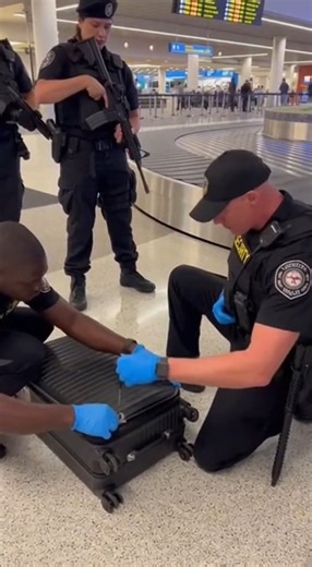 Security Discovers Caiman Inside Suitcase After Airport Alert Miami, Florida — Airport security responds to a tip regarding a suspicious piece of luggage and secures the surrounding area as officers and staff prepare to inspect the bag. When the suitcase is opened, a live caiman is revealed inside, startling those on scene as the reptile moves within the partially packed luggage while responders carefully control the situation. The animal is safely contained as authorities clear the area and rem