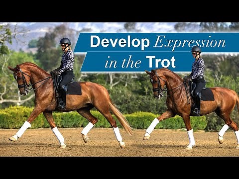 How to Train an Expressive Trot