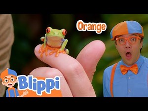 Exotic & Colorful Rainforest Frogs with Blippi! | Blippi's Colorful Fun! | Blippi Adventures