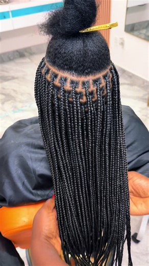 Beautiful Small Knotless Braids by Tampa Braider