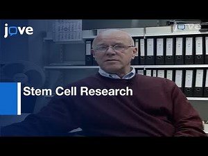 Interview: Bioreactors & Surfaced-Modified 3D-Scaffolds For Stem Cell Research l Protocol Preview