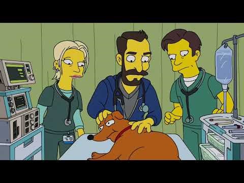 The Simpsons: The Pitt: Saving Santa's Little Helper.