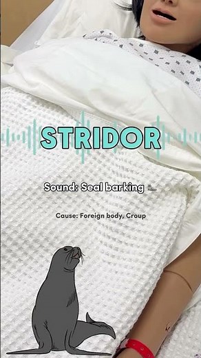 Lung Sounds Made EASY! 🫁 The Simple Trick Every Nurse & Paramedic Should Know