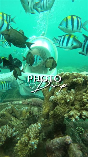 Fairy🧚🏽Rosebud 🥀 (@ancientrosebud)’s videos with original sound - Fairy🧚🏽Rosebud 🥀