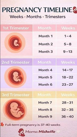 Pregnancy Timeline Explained 🤰 | Weeks, Months & Trimesters (Mama Midwife)