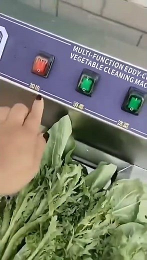 Ozone washer for fruits and vegetables,small type batch type vortex washing machine for kitchen use.