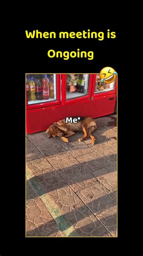 POV: Manager Talking Nonstop While Employees Sleep 😴 | Office Meeting Meme #memes