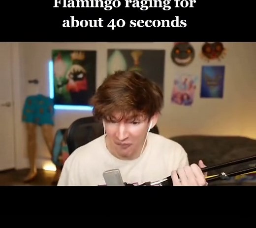 Flamingo raging #flamingowastaken #flamingoscream #flamingoscreaming #fyp
