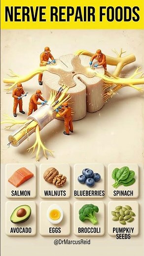 Top 8 Foods for Nerve Repair & Neuropathy Relief 🧠⚡️ (Oddly Satisfying)