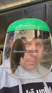 Watch Grinding face safety shield anti fog and strong protection against moving objects on Amazon Live