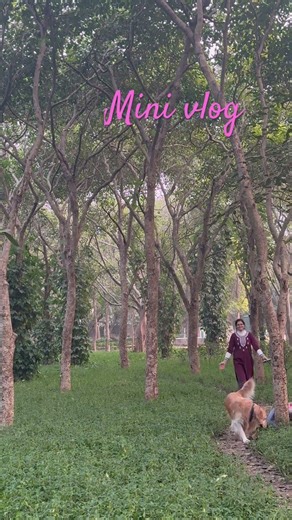 Coco’s mini vlog😆❤️ #funny #dog #goldenretriever