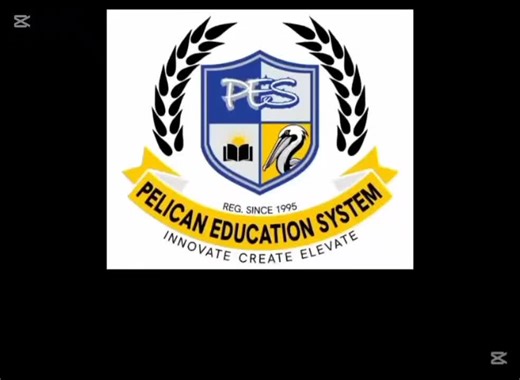 🏃‍♂️💨 Run fast, try your best, and enjoy the race! #race #school #activity #kids #pelicaneducationsystem