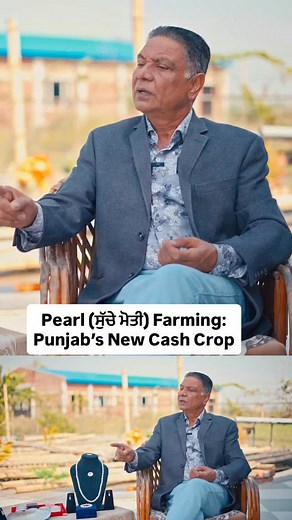 Pearl Farming: Punjab’s New Cash Crop | Kulpreet Brar Talks | Watch this full episode on YouTube channel @Kulpreet Brar Talks OR click on the link mentioned in the bio 🔗 #pearl #farming #business #cash #crop #talkshow #podcast #goodvibes #realtalk #success #story #nri #investment #opportunity #kulpreetbrarpodcast #kulpreetbrartalks #kulpreetbrarinterview #kulpreetbrar | Kulpreet Brar Talks