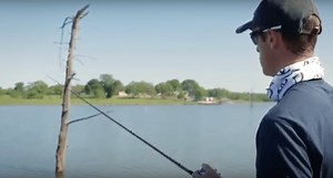 This is Everything You Need to Know About Stump Fishing