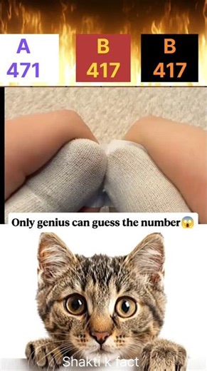 Guess the Number CHALLENGE?🤔#shorts #cat ##bombastic #number