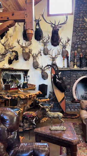 Mastering the Art of Taxidermy: A Guide to Creating Your Own Trophy Room