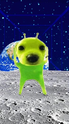 witch dance #memes #youtubeshorts #shortsfeed #viral #funny #shorts