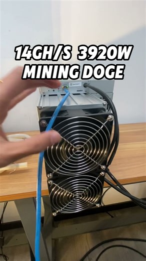 the ElphaPex DG1+ is here to dominate Doge mining! 14G