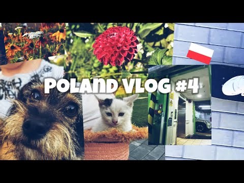 Poland Vlog #4 || August 2025